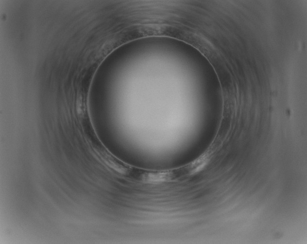 X0000076450134200610061332