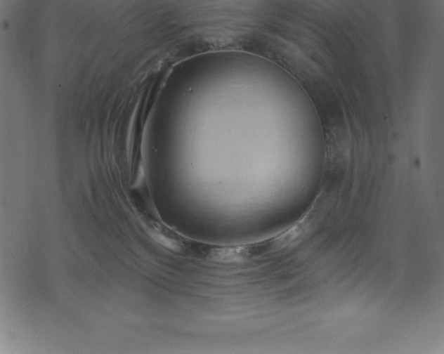 X0000076450136200610061332