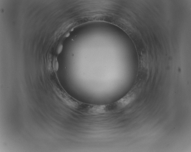 X0000076450138200610061332