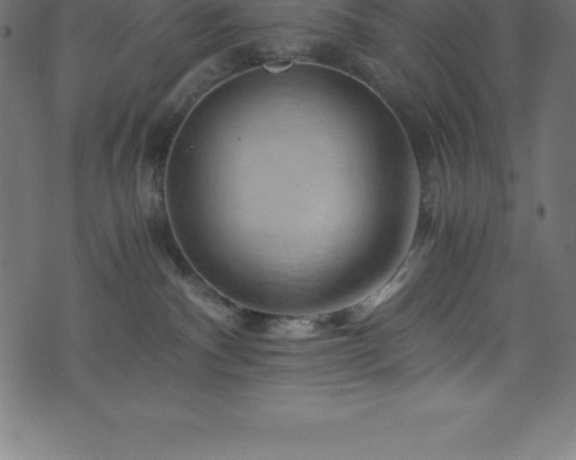 X0000076450140200610061332