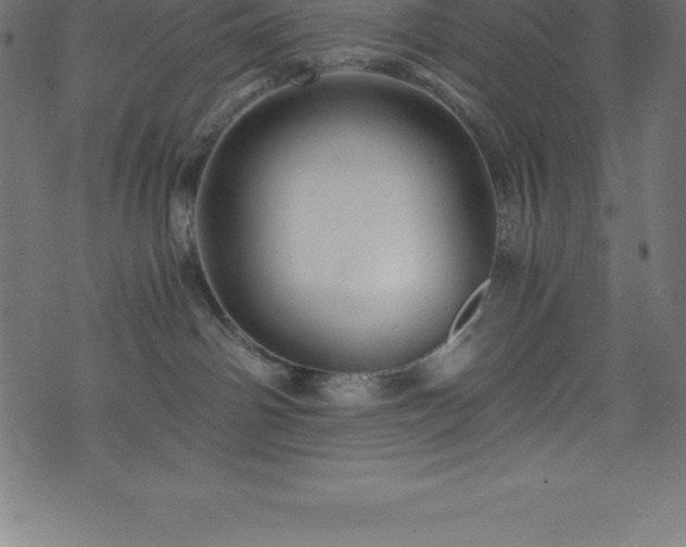 X0000076450142200610061332