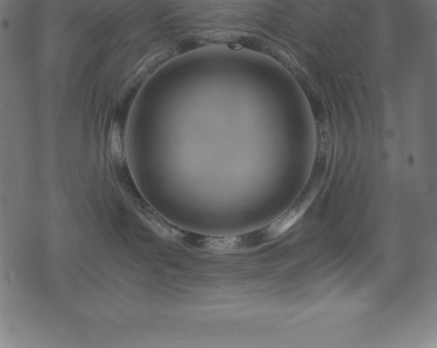 X0000076450143200610061332