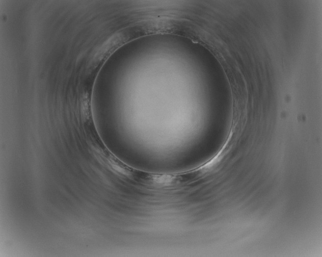 X0000076450144200610061332