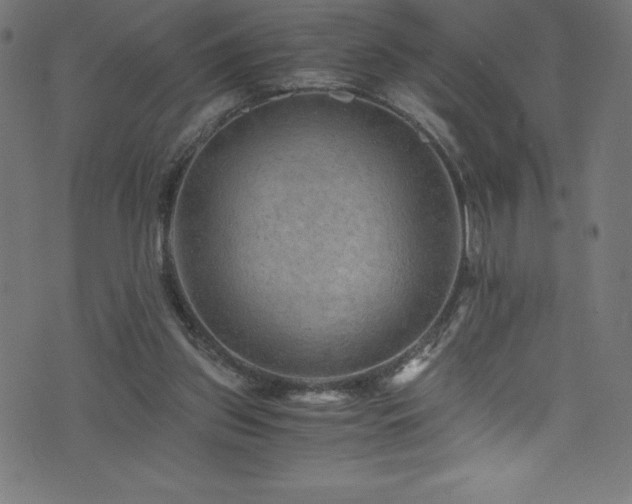 X0000076450157200610061331