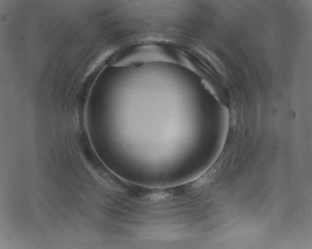 X0000076450158200610061331
