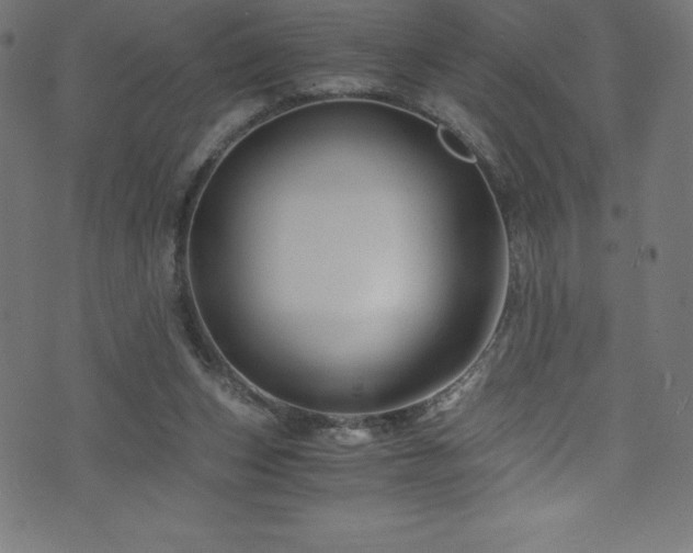 X0000076450159200610061331