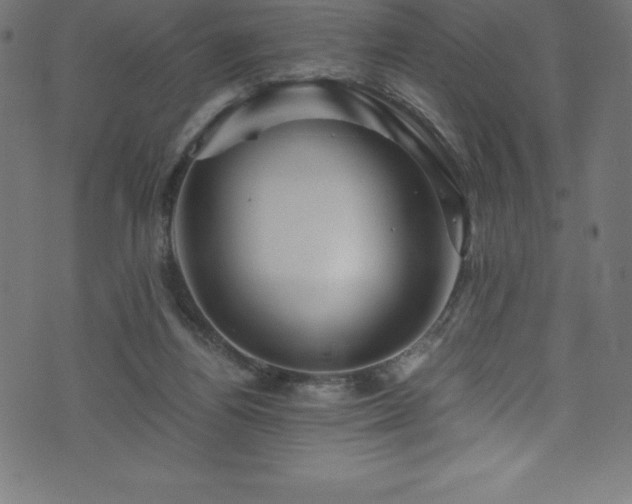 X0000076450164200610061331