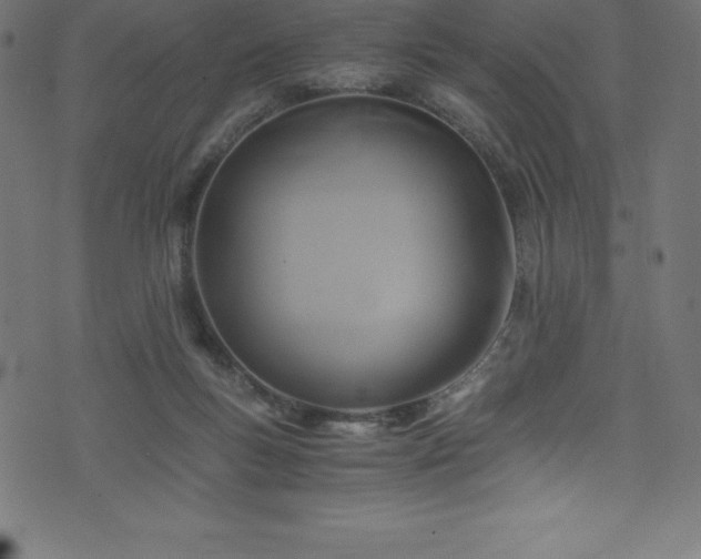 X0000076450167200610061331