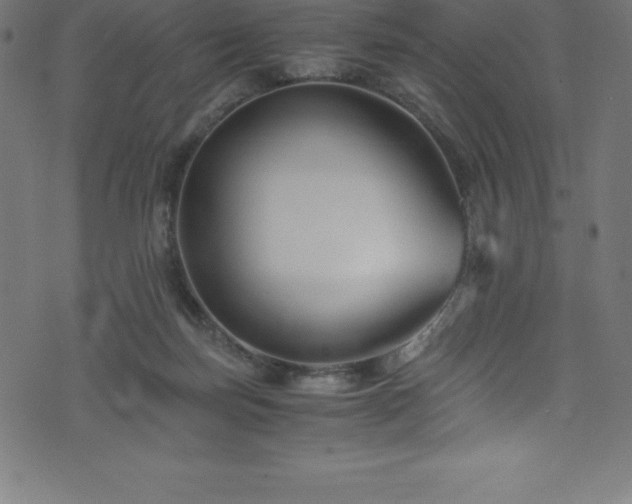 X0000076450171200610061331