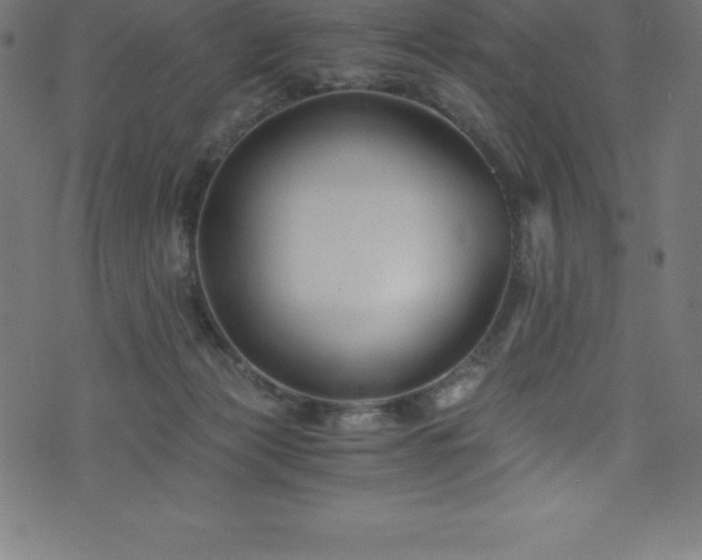 X0000076450173200610061331