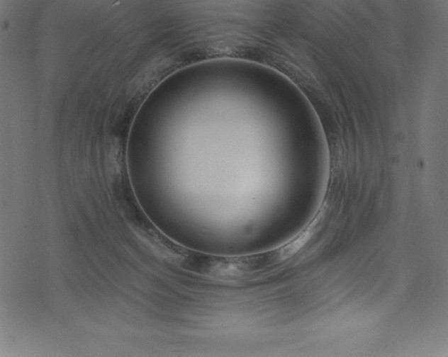X0000076450174200610061331