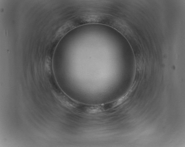 X0000076450175200610061331