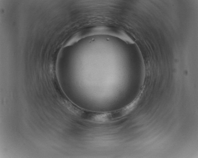 X0000076450178200610061332