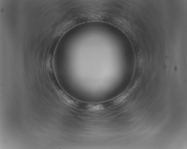 X0000076450185200610061332