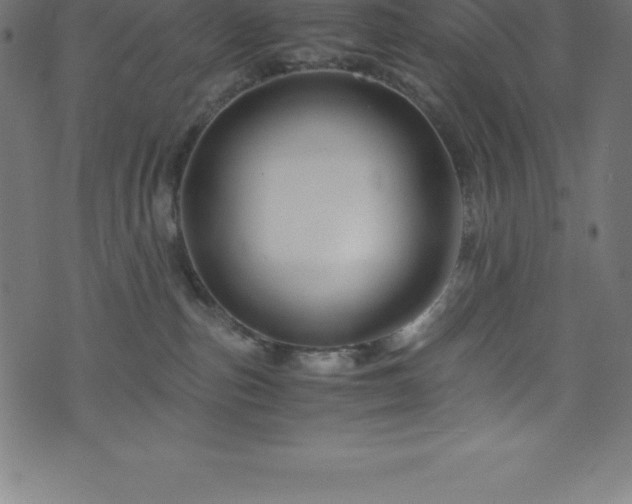 X0000076450187200610061332