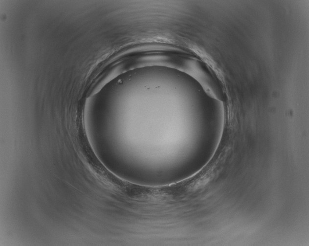 X0000076450201200610061331