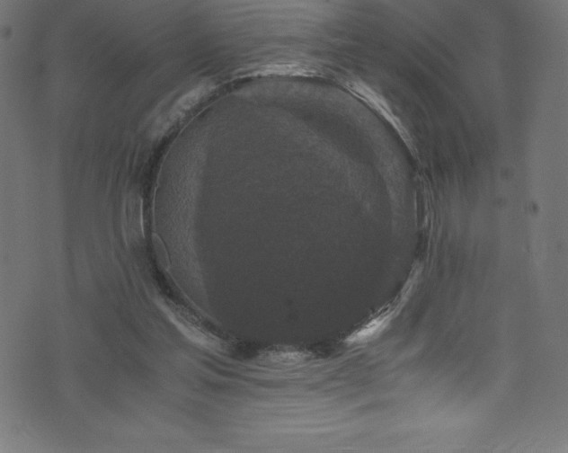 X0000076450205200610061331