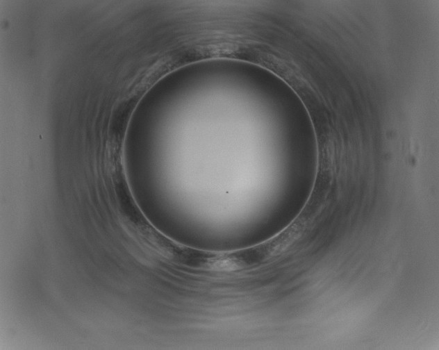 X0000076450218200610061331