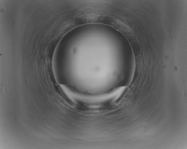 X0000076450225200610061330