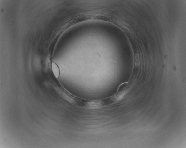 X0000076450238200610061330
