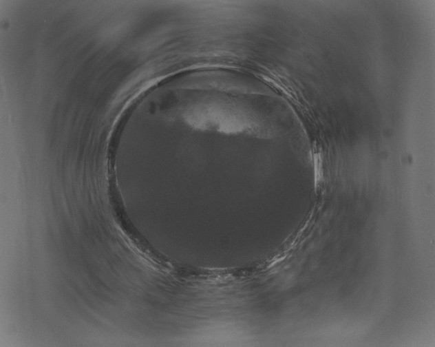 X0000076450243200610061329