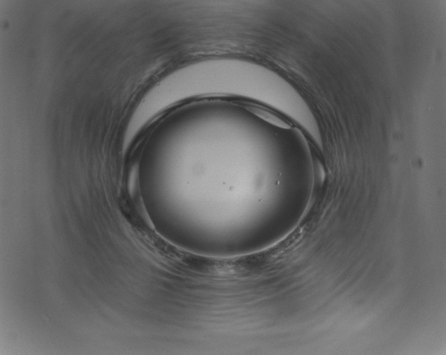 X0000076450264200610061330
