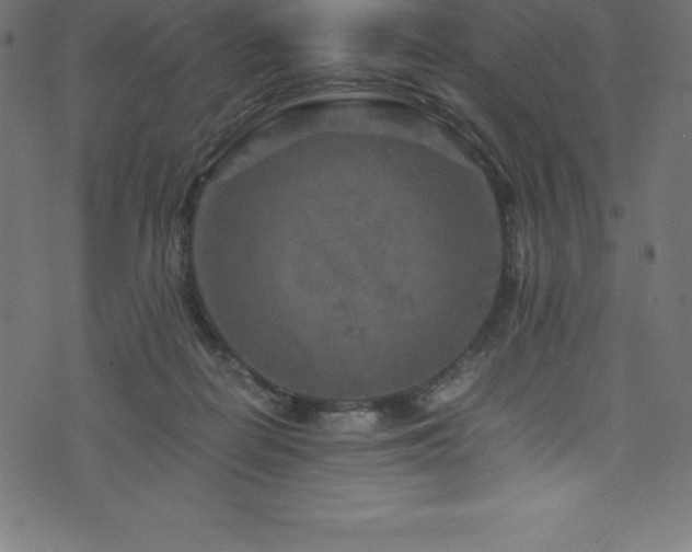 X0000076450266200610061330