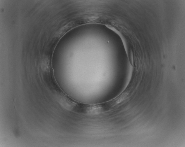 X0000076450274200610061330