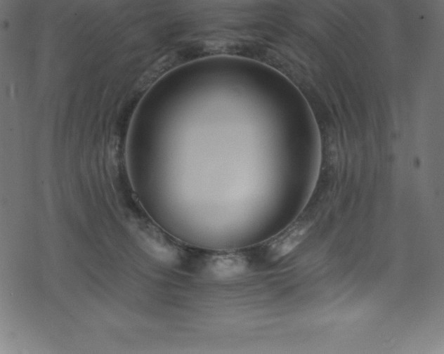 X0000076450275200610061330