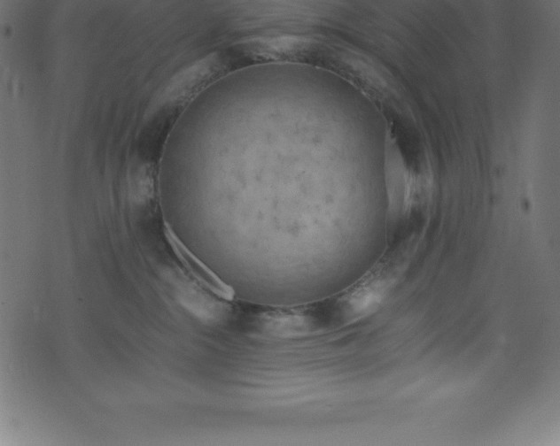X0000076450284200610061330