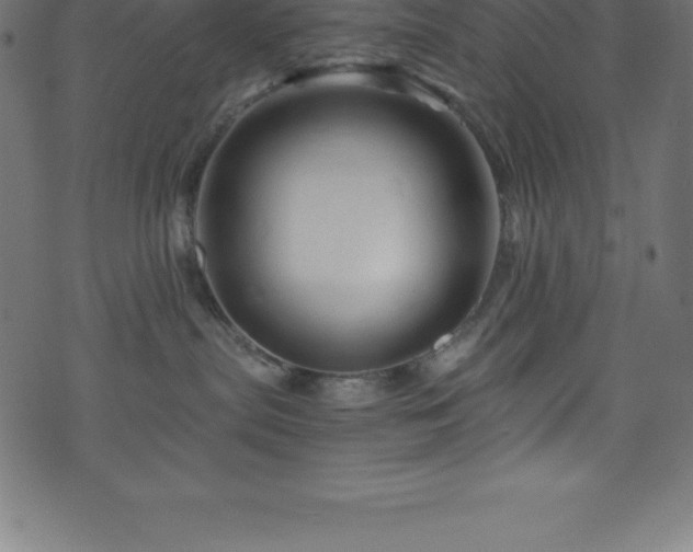 X0000076450287200610061330