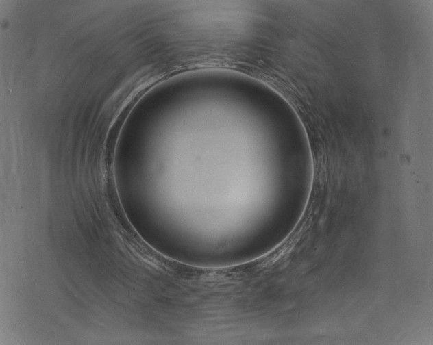 X0000076450290200610061329