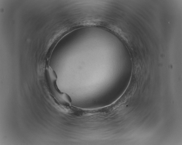 X0000076450299200610061329