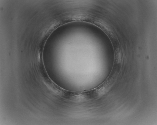 X0000076450310200610061329