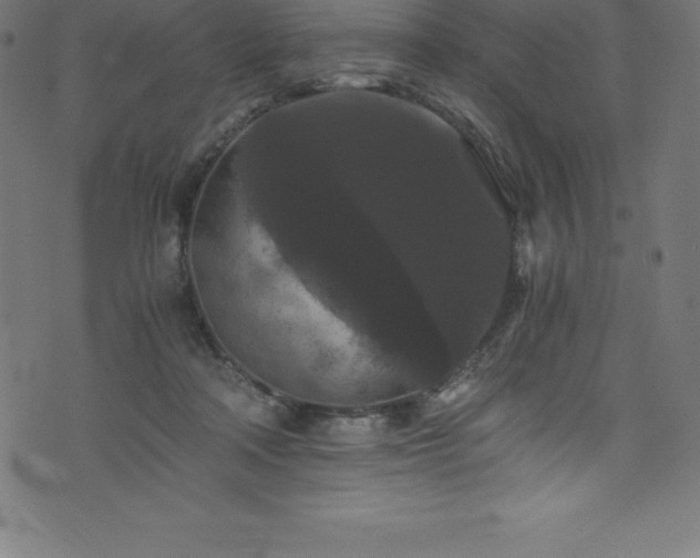 X0000076450314200610061329