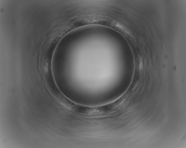 X0000076450315200610061329