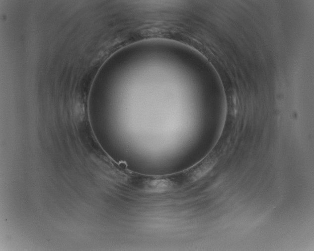 X0000076450324200610061329