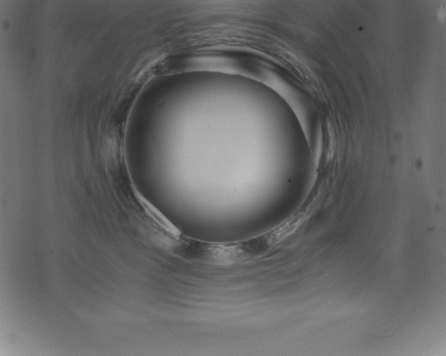X0000076450333200610061329
