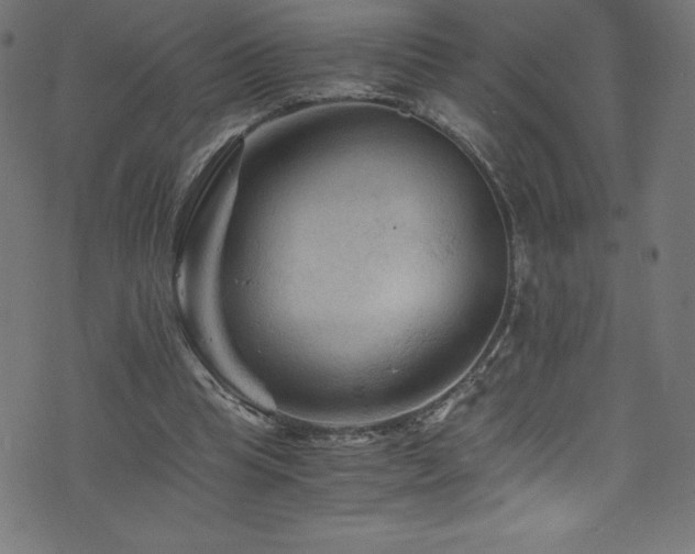 X0000076450345200610061328