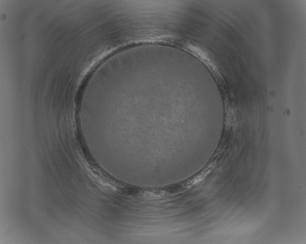 X0000076450346200610061328