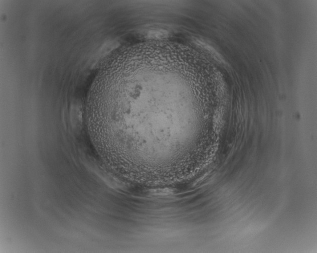X0000076450363200610061328