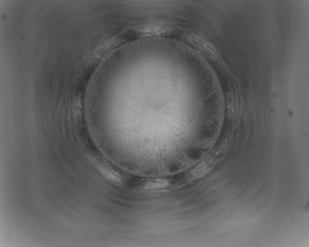 X0000076450369200610061328