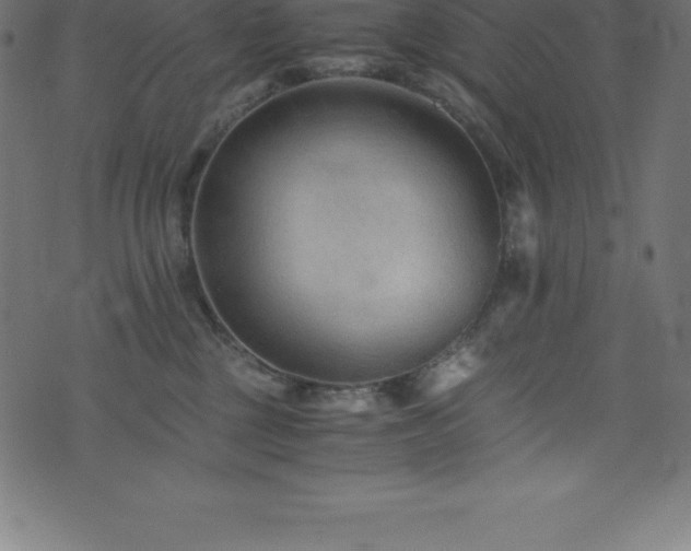 X0000076450377200610061329