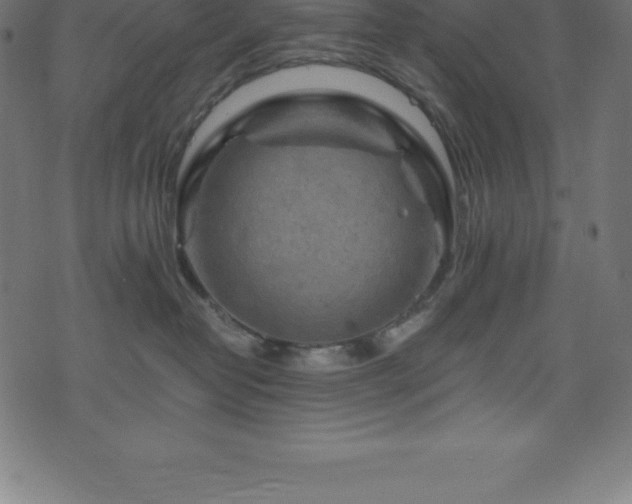 X0000076450382200610061329