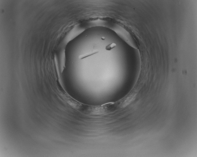 X0000076450384200610061329