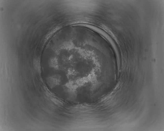 X0000076450386200610061328
