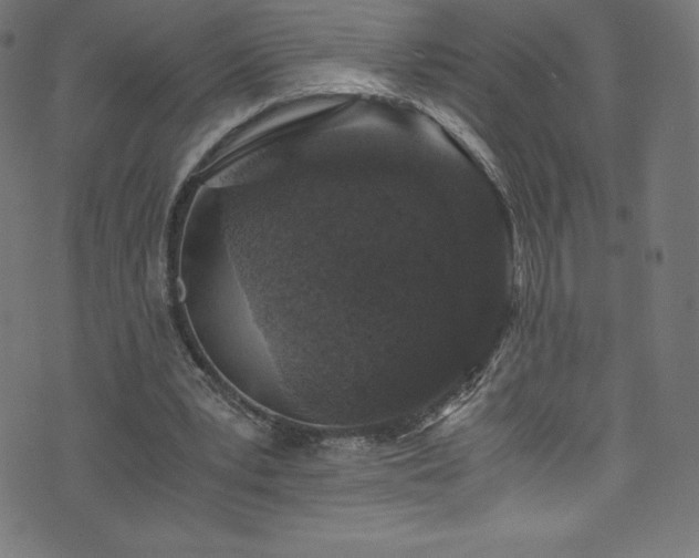 X0000076450391200610061328