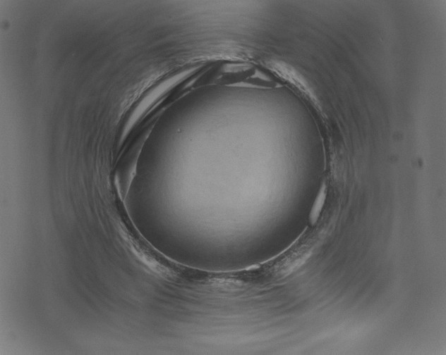 X0000076450393200610061328