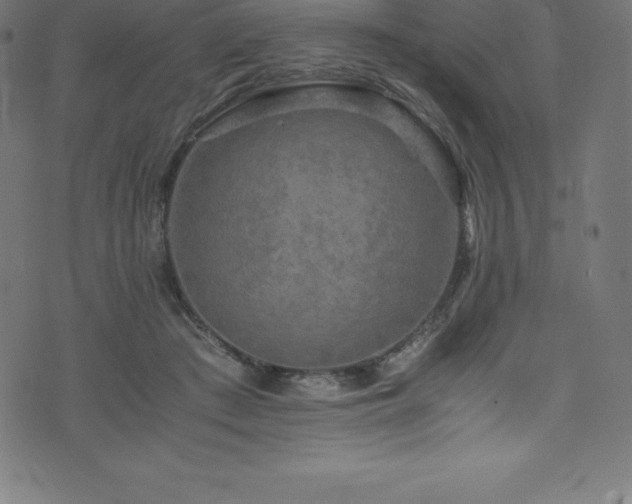 X0000076450409200610061327