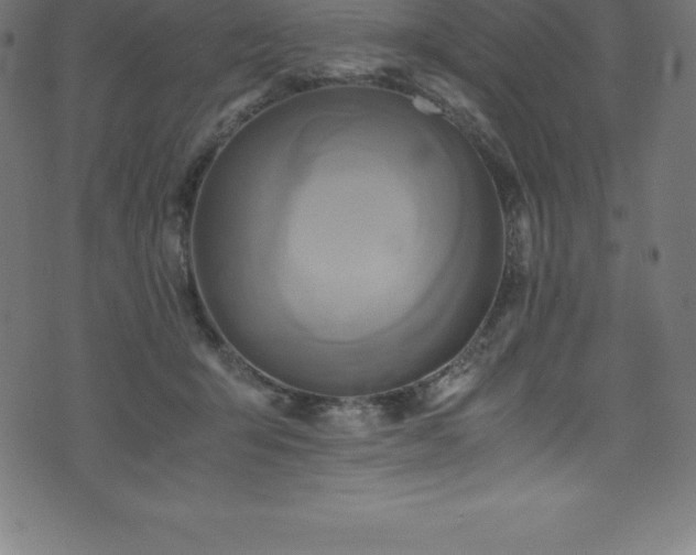 X0000076450415200610061327